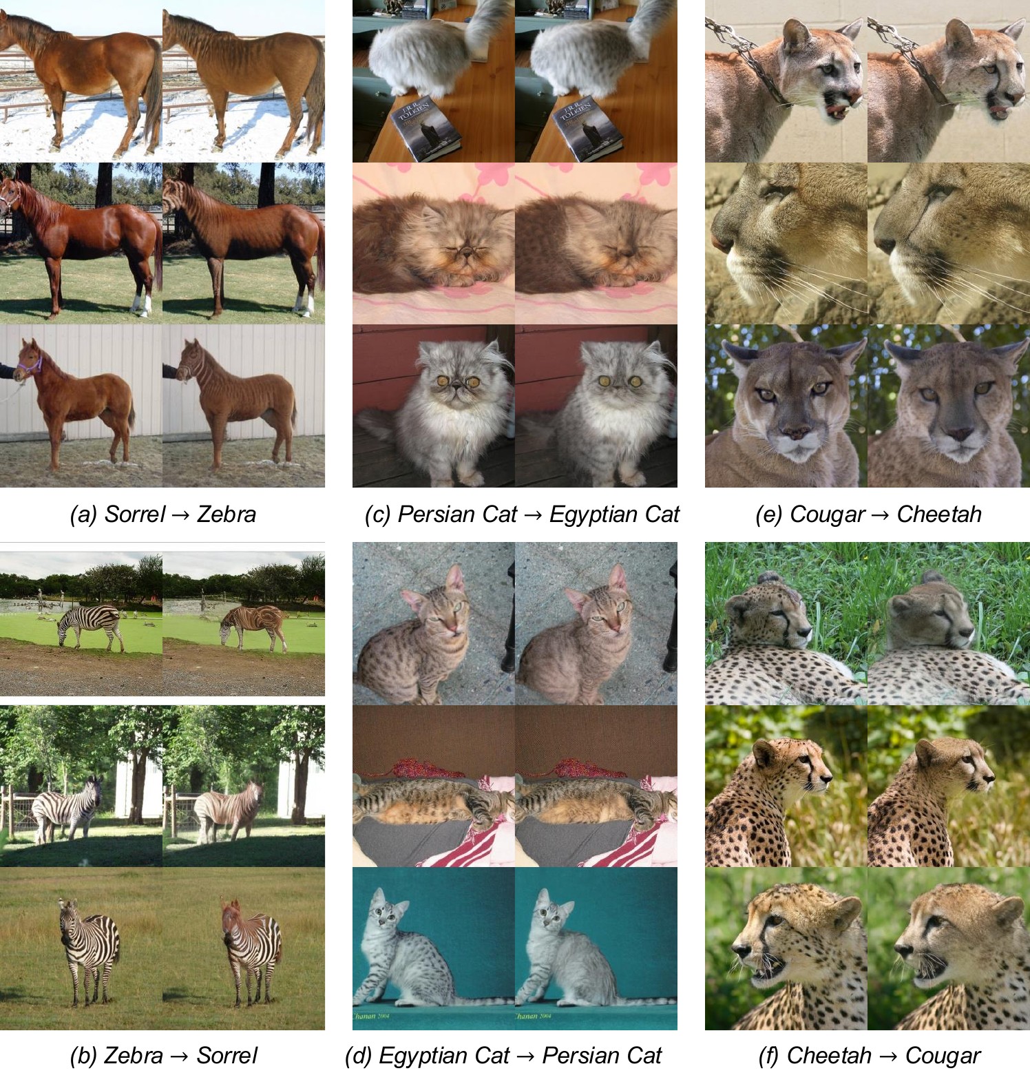 Qualitative results on ImageNet for three bidirectional class pairs