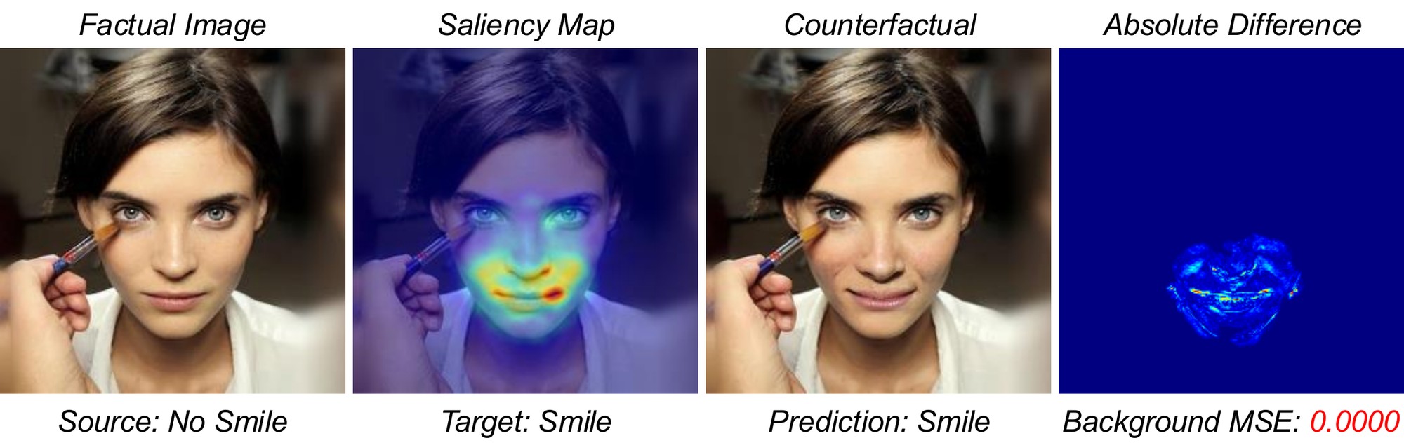 Factual image, saliency map, counterfactual and absolute difference map