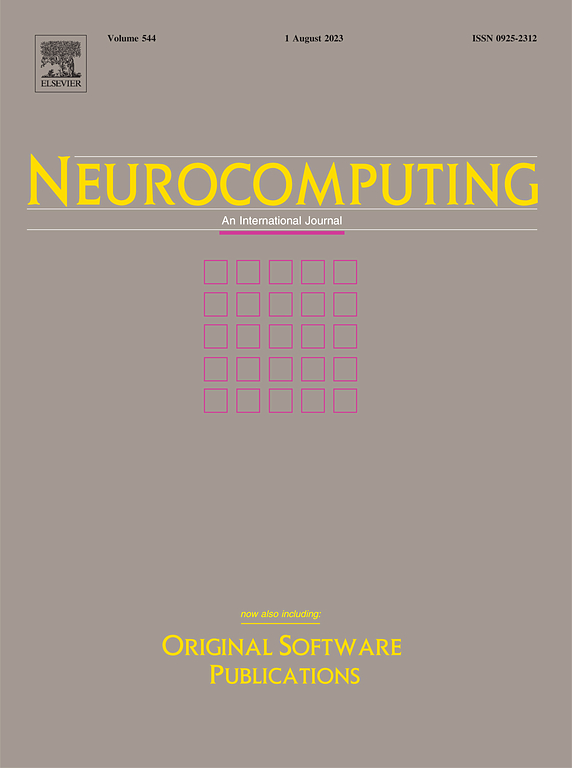 Neurocomputing